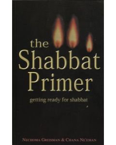 Shabbat Primer - Getting Ready