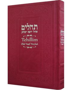 Tehillim with English Hot Pink Leather 5? x 8?