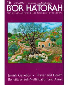 B'Or Ha'Torah Vol. 16 (2006) English