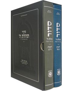  Weekday, Shabbat & Yomtov Siddur for Youth - Slipcased Set                                                             