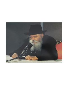 Rebbe by Microphone 8.5x11